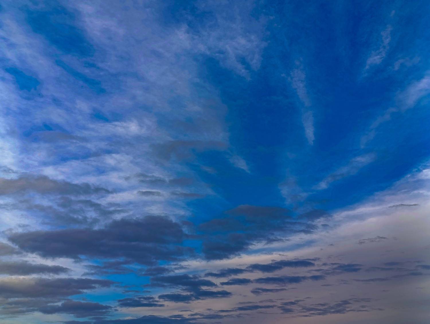 Photo #13755241