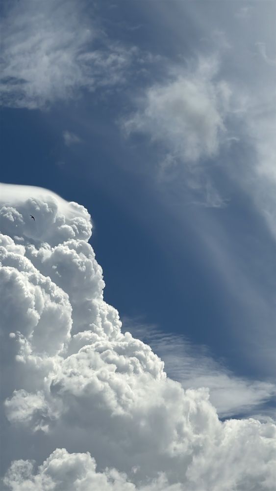 Photograph by Александра Фомиченко
