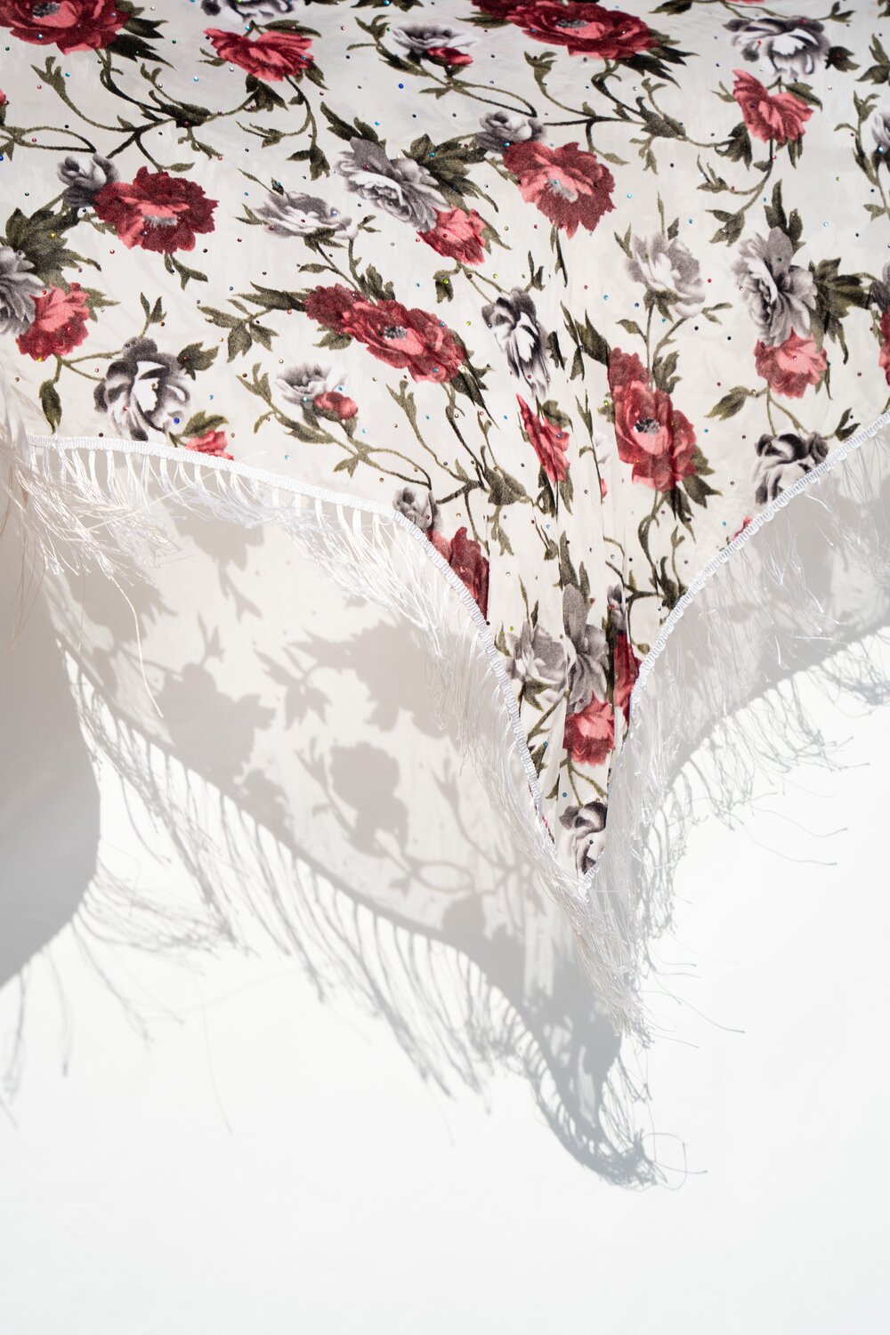 Photo #13755276