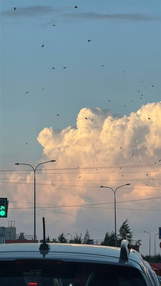 Photograph by Александра Фомиченко