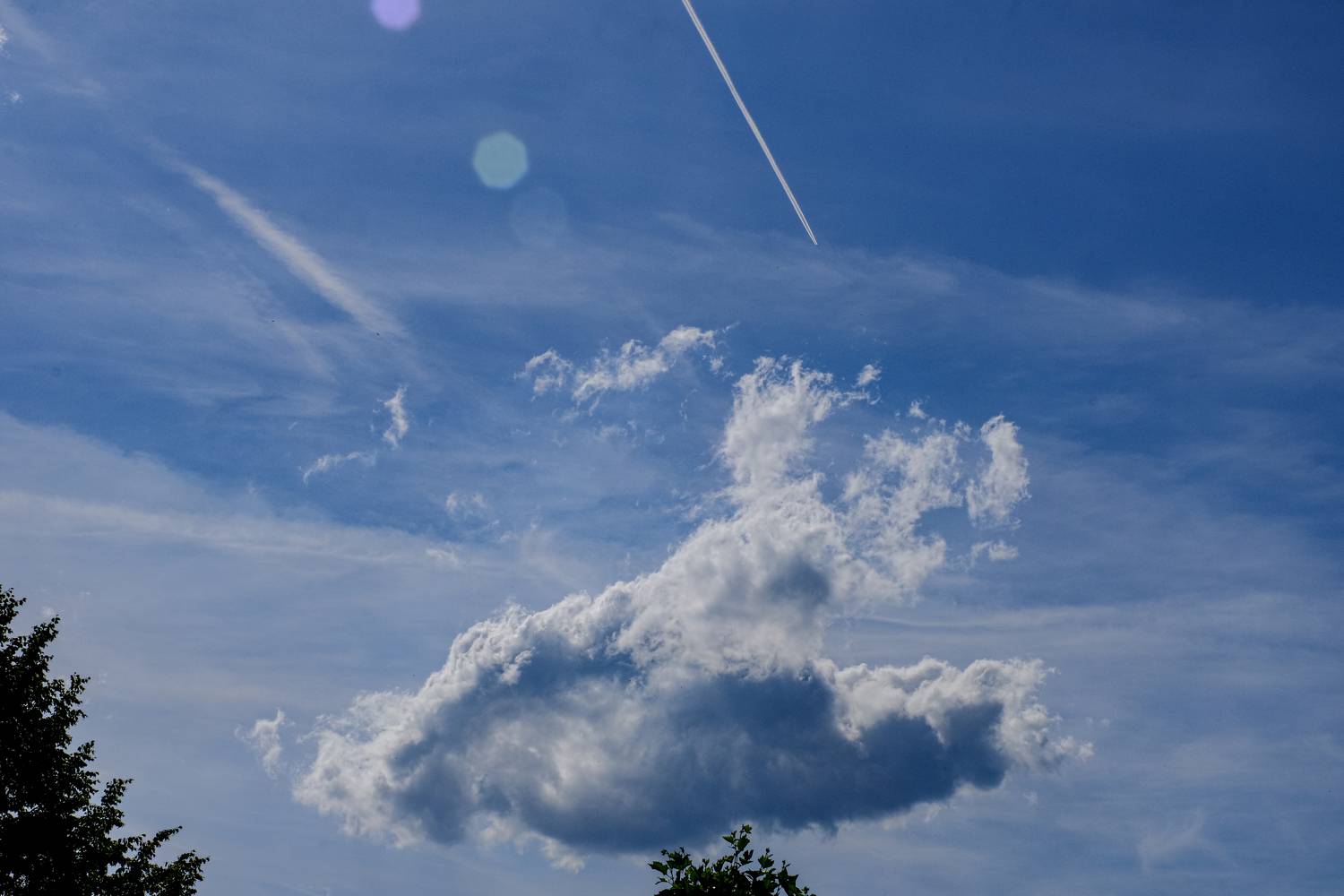 Photo #13755287