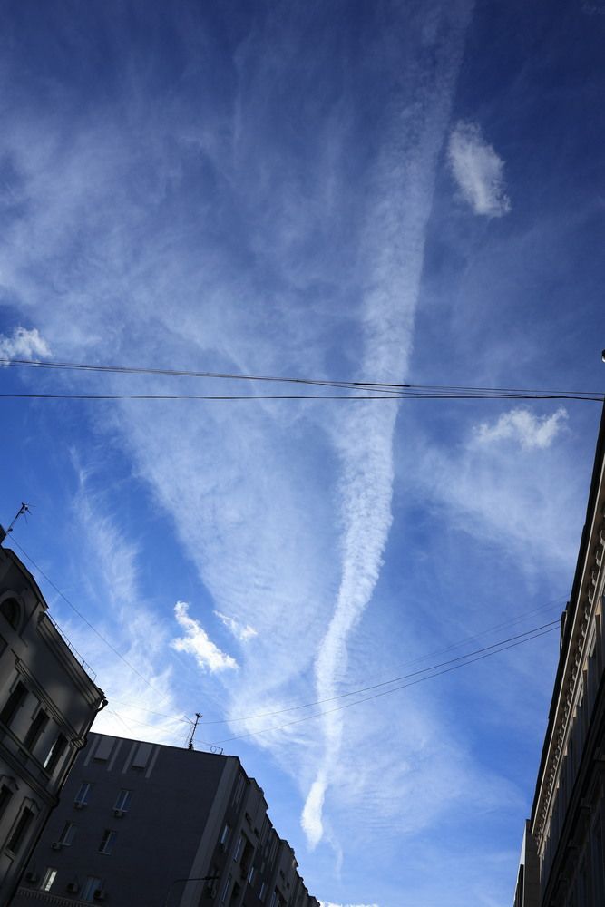 Photo #13755347