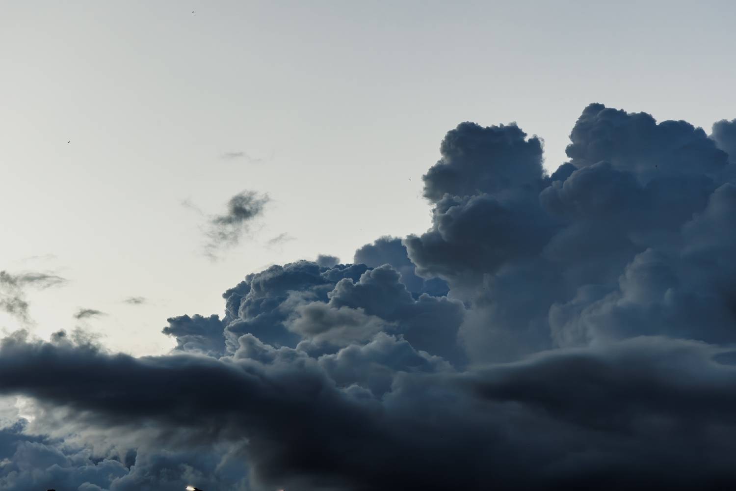 Photo #13755387