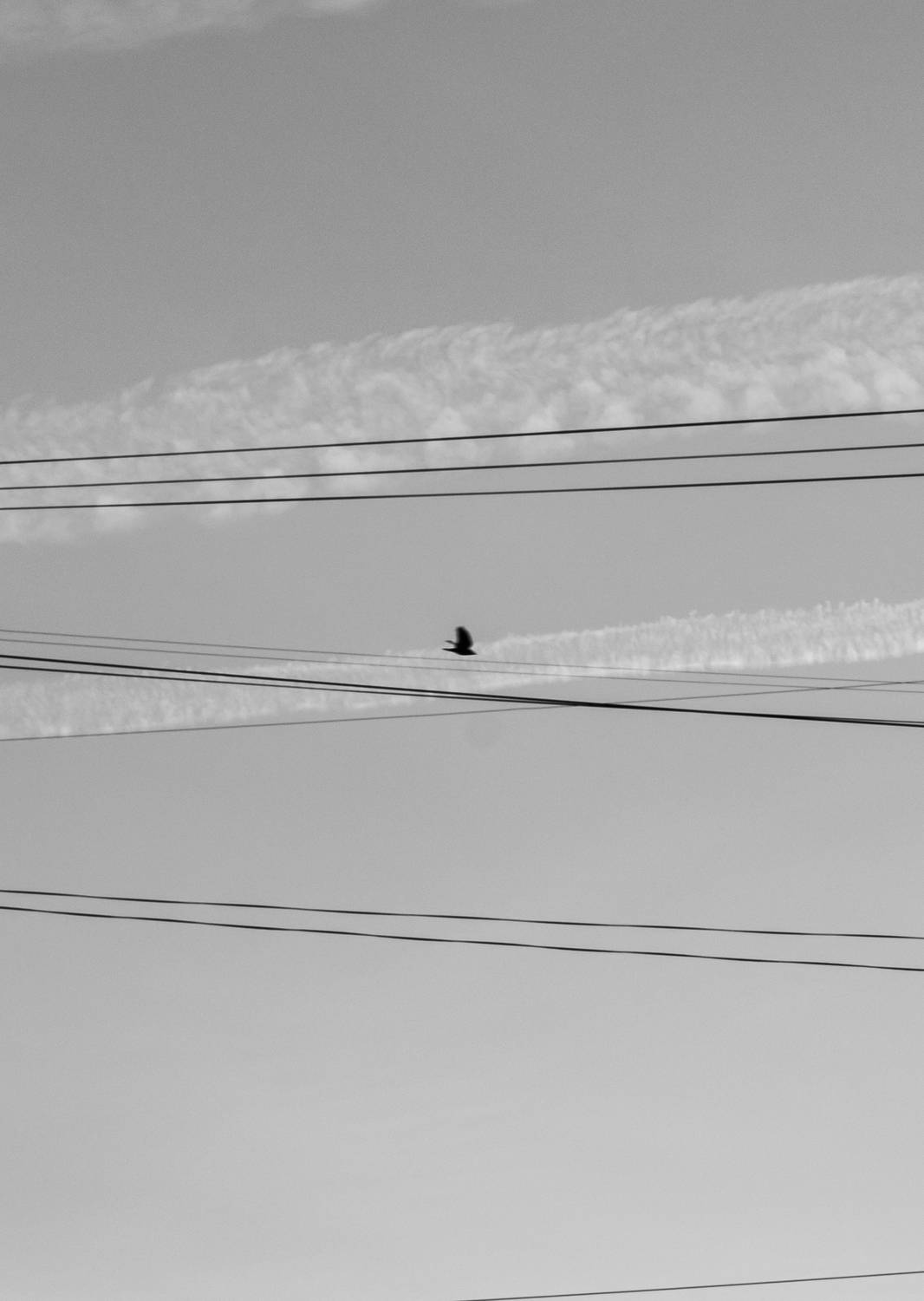 Photo #13755388