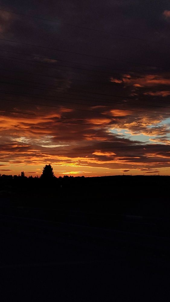 Photograph by Коваль Юлия