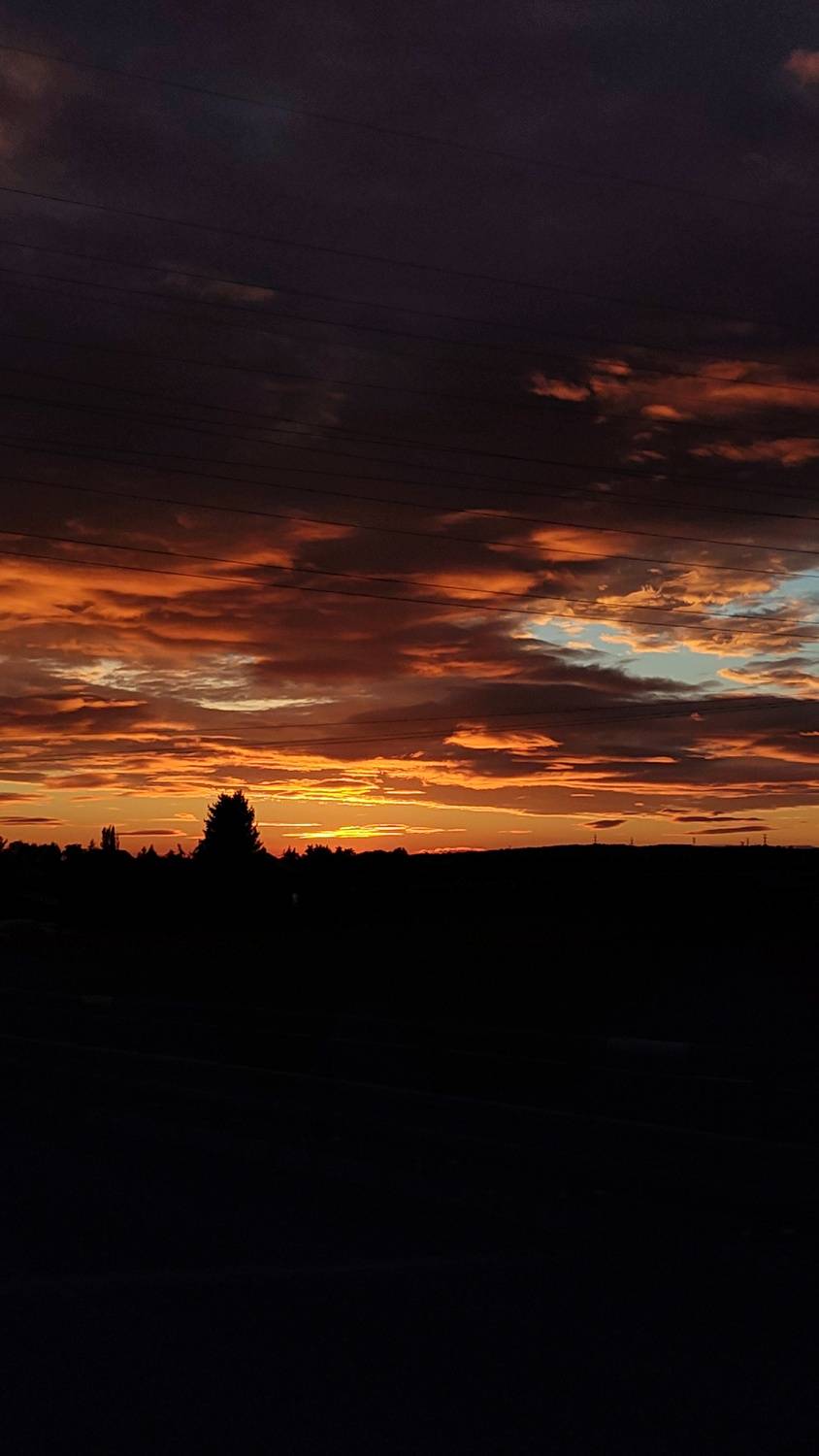 Photo #13755410