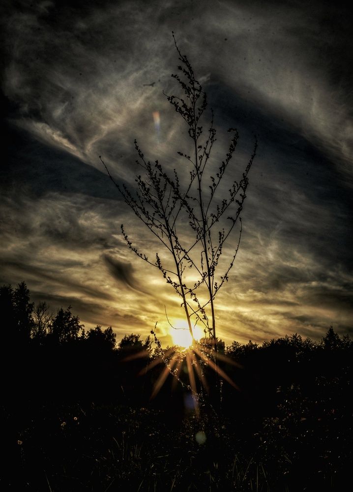 Photograph by Татьяна