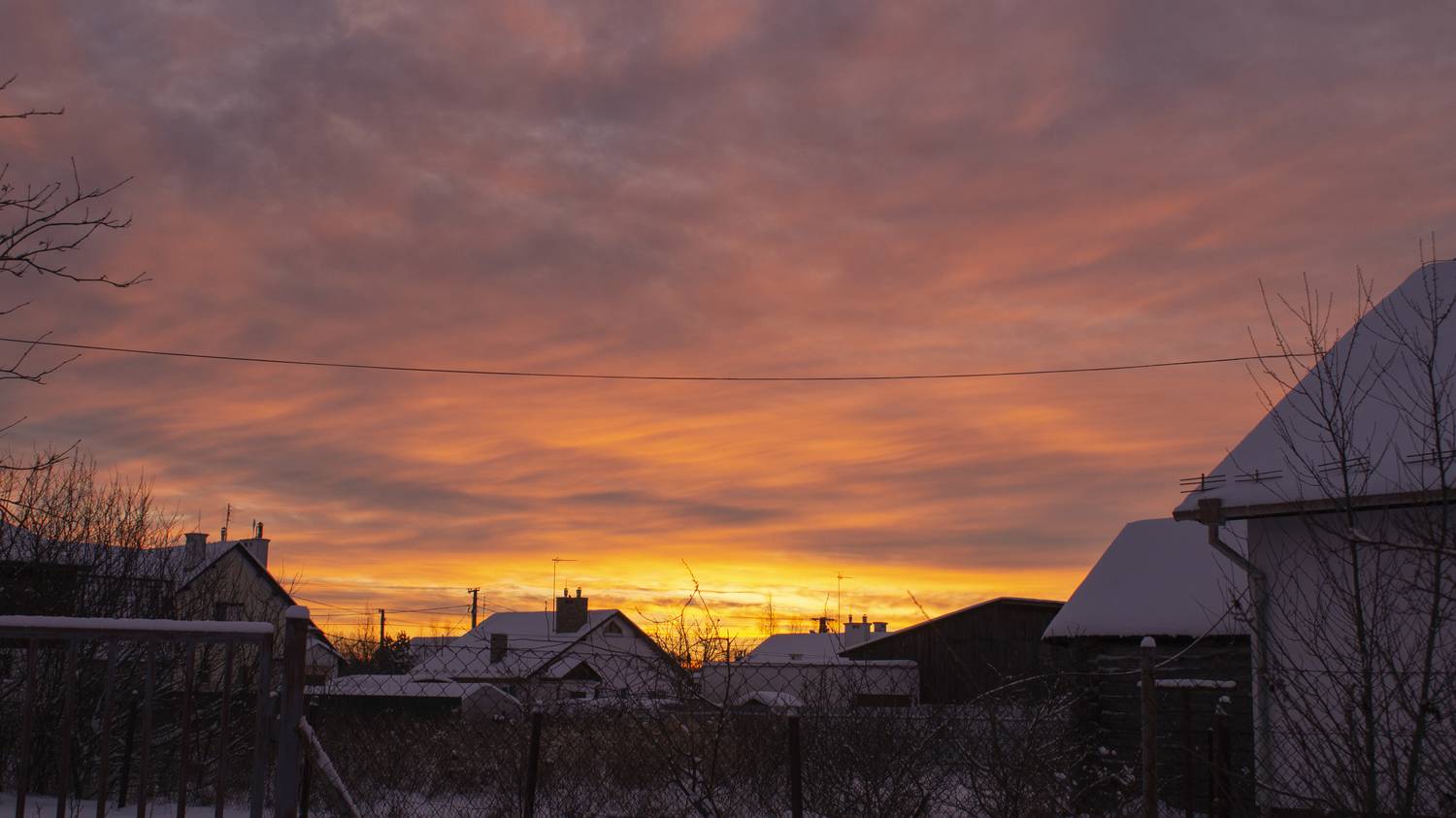 Photo #13755431