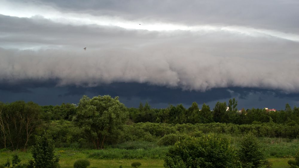 Photograph by Юлия Кранина