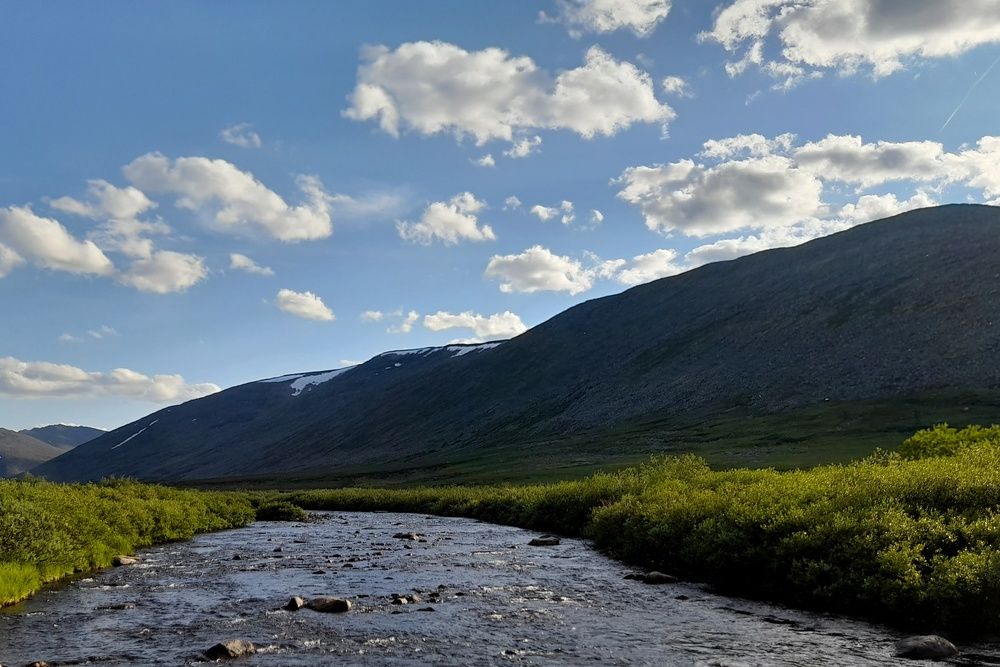 Photograph by Ольга Березовская