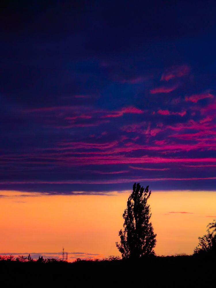 Photograph by Кристина Дугина