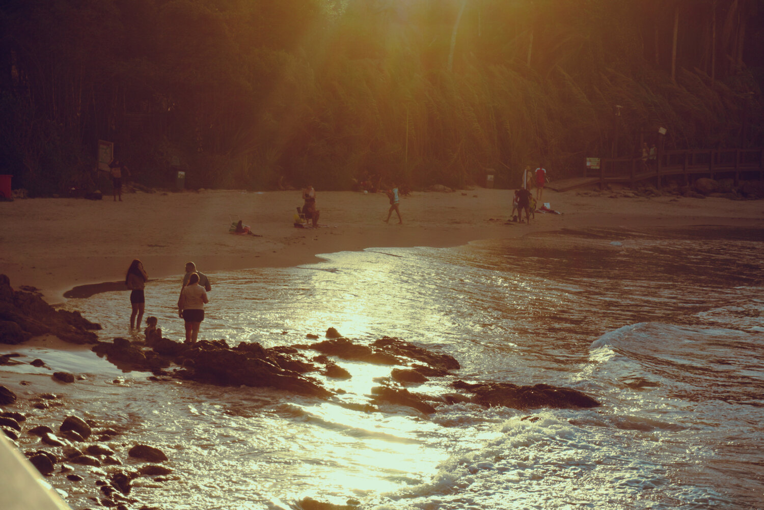 Photo #13755644