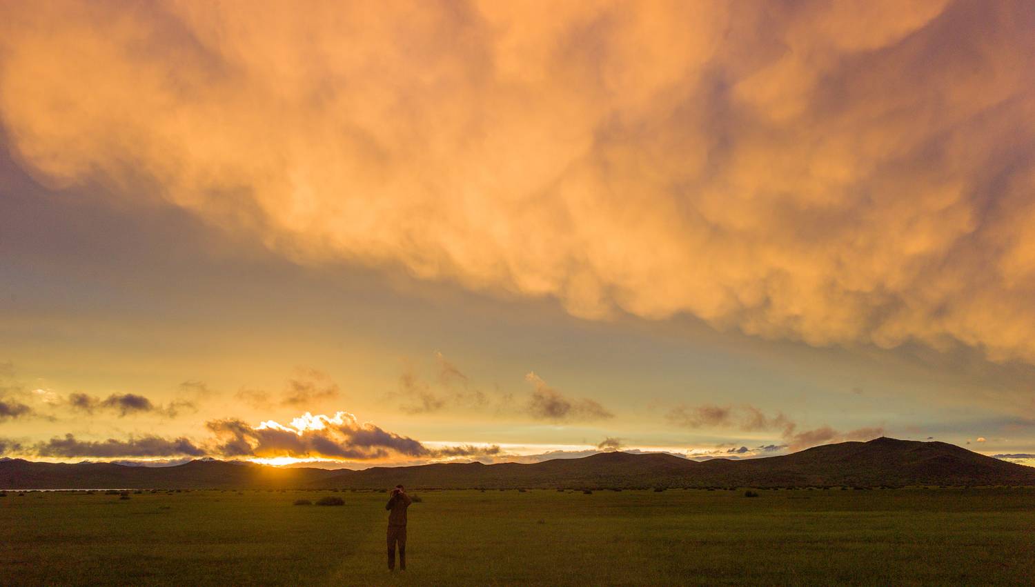 Photo #13755647