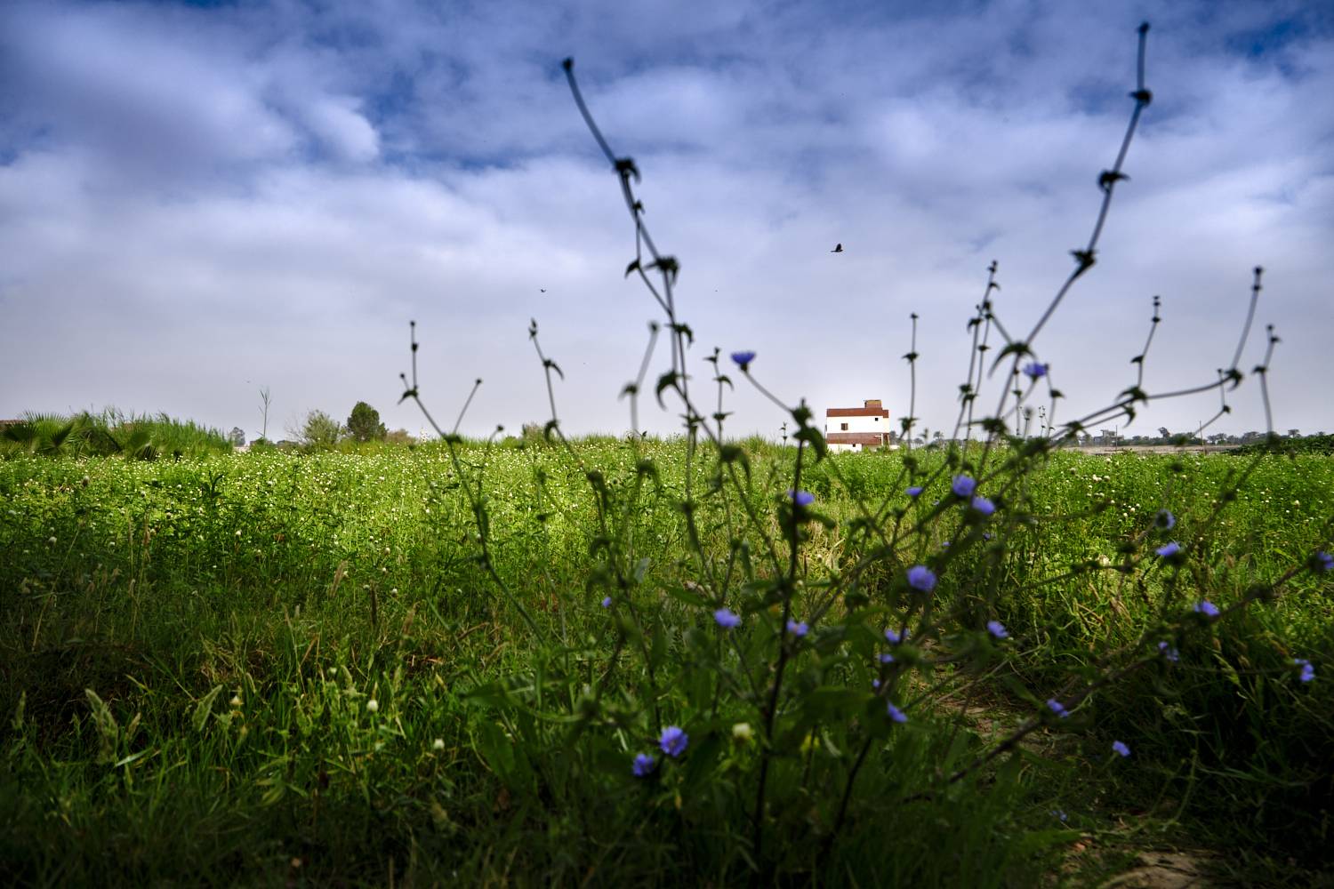 Photo #13755686