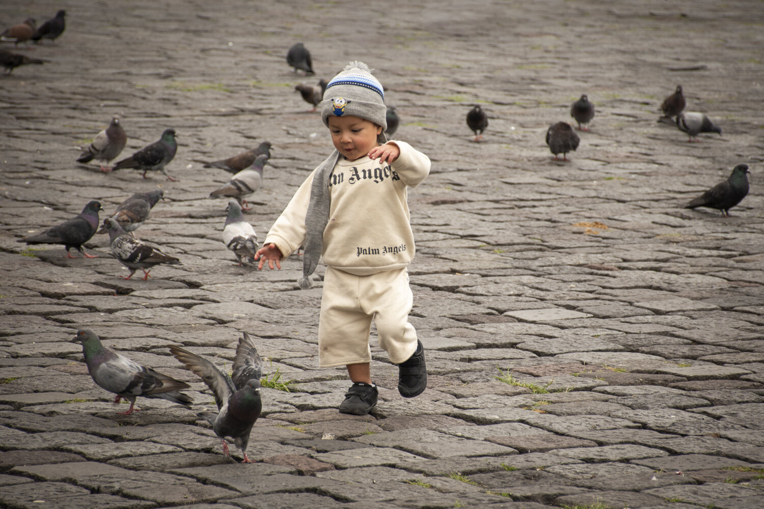 Photo #13755727