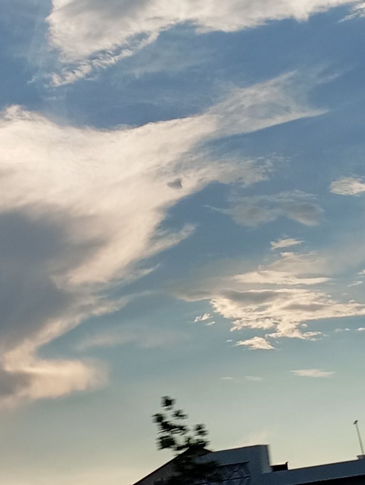 Photo #13755738