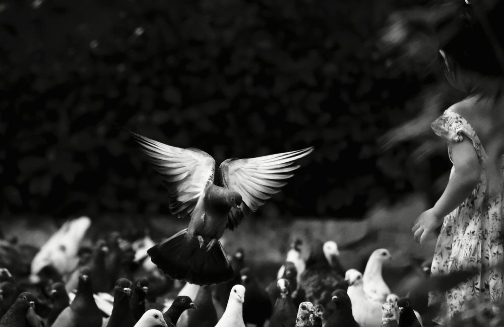 The Angel’s Wings