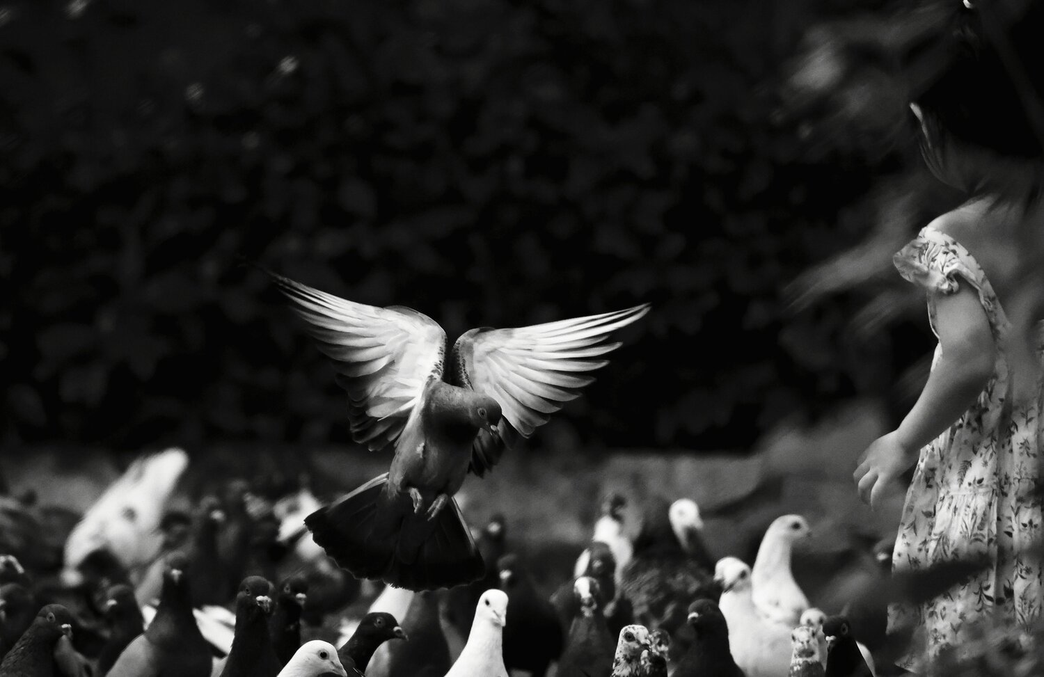 The Angel’s Wings