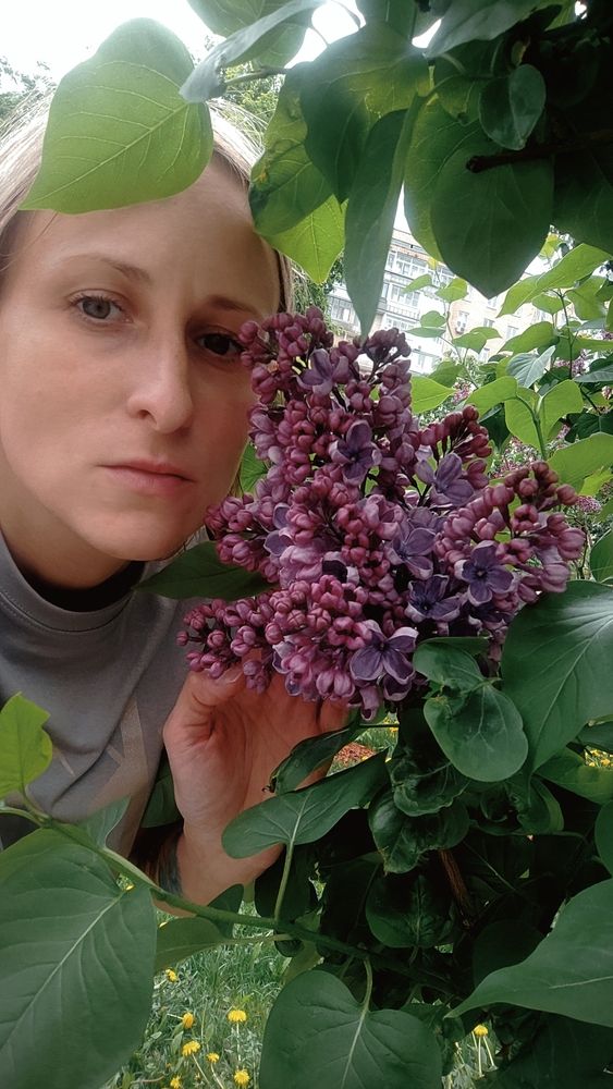 Photograph by Екатерина Александровна