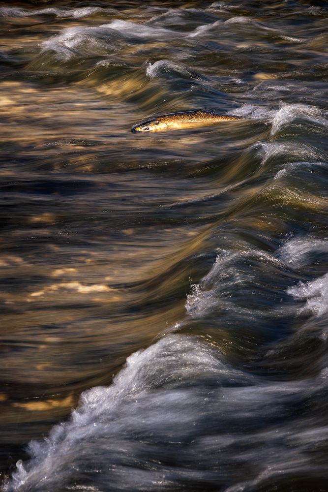 Photograph by Zhenhuan Zhou