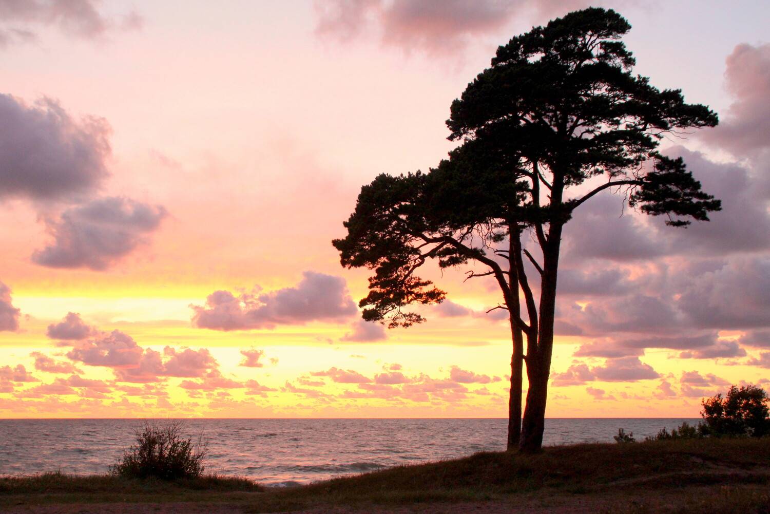 Photo #13755882