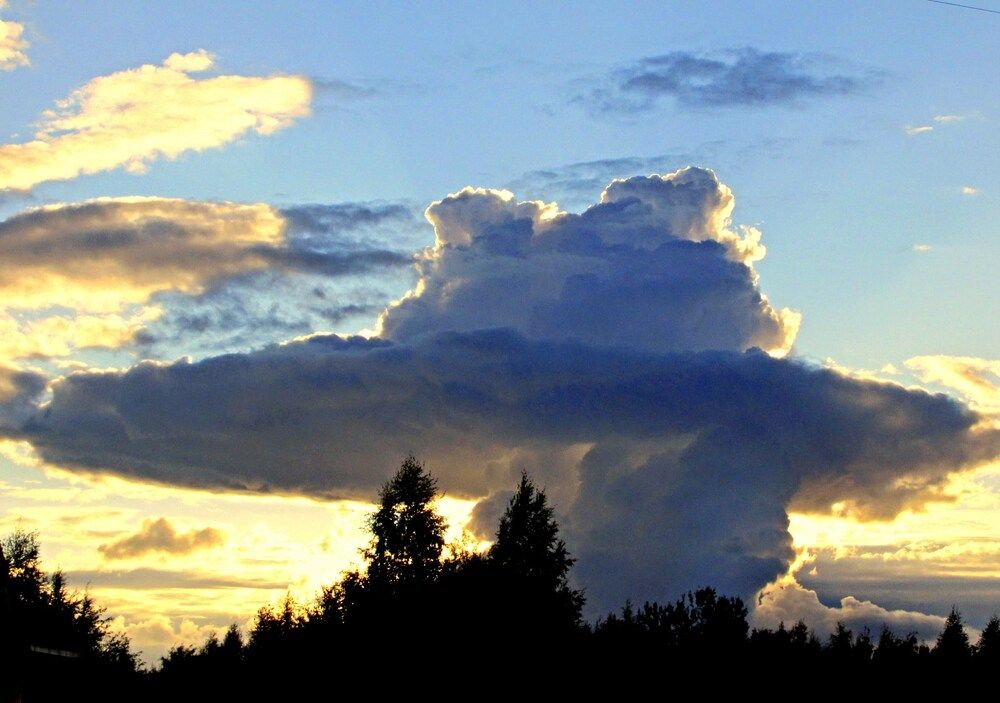 Photograph by Леонид Табаков