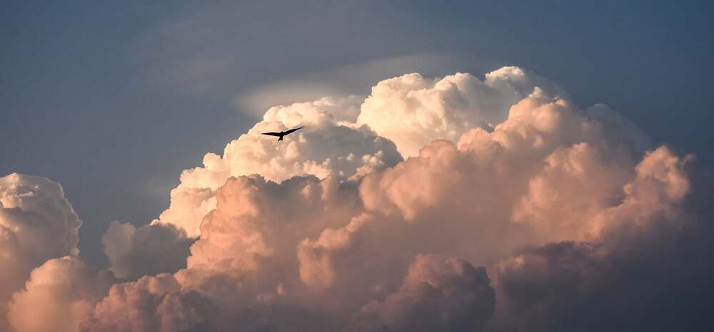 Photograph by DEBASISH SEN