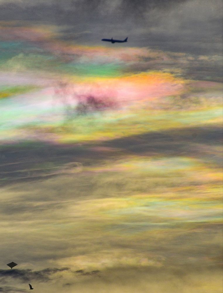 Photograph by Shreya Roy