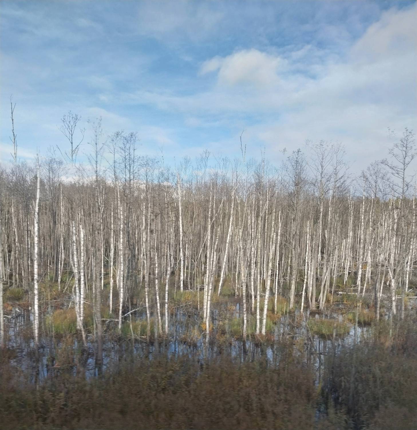 Photo #13755963