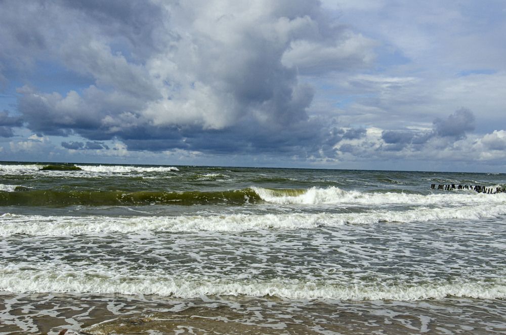 Photograph by Юрий Самойлов