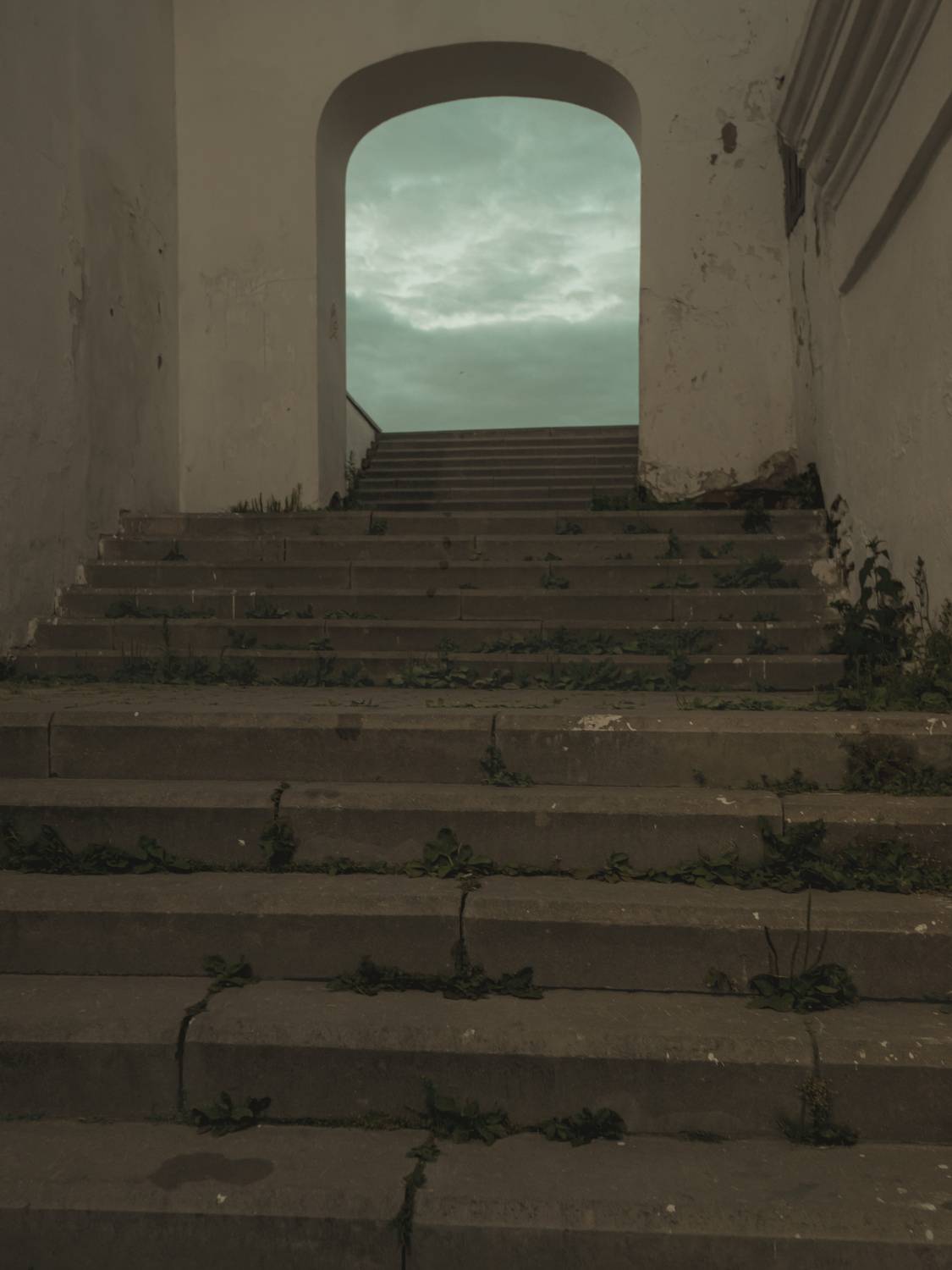 Photo #13756216