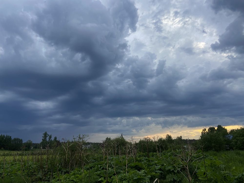 Photograph by Лариса