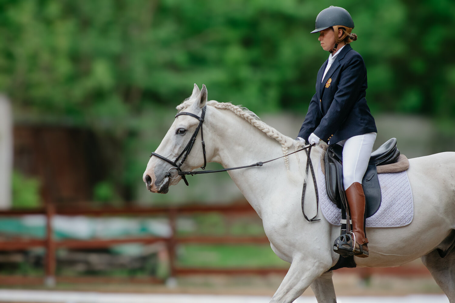 Photo #13756272