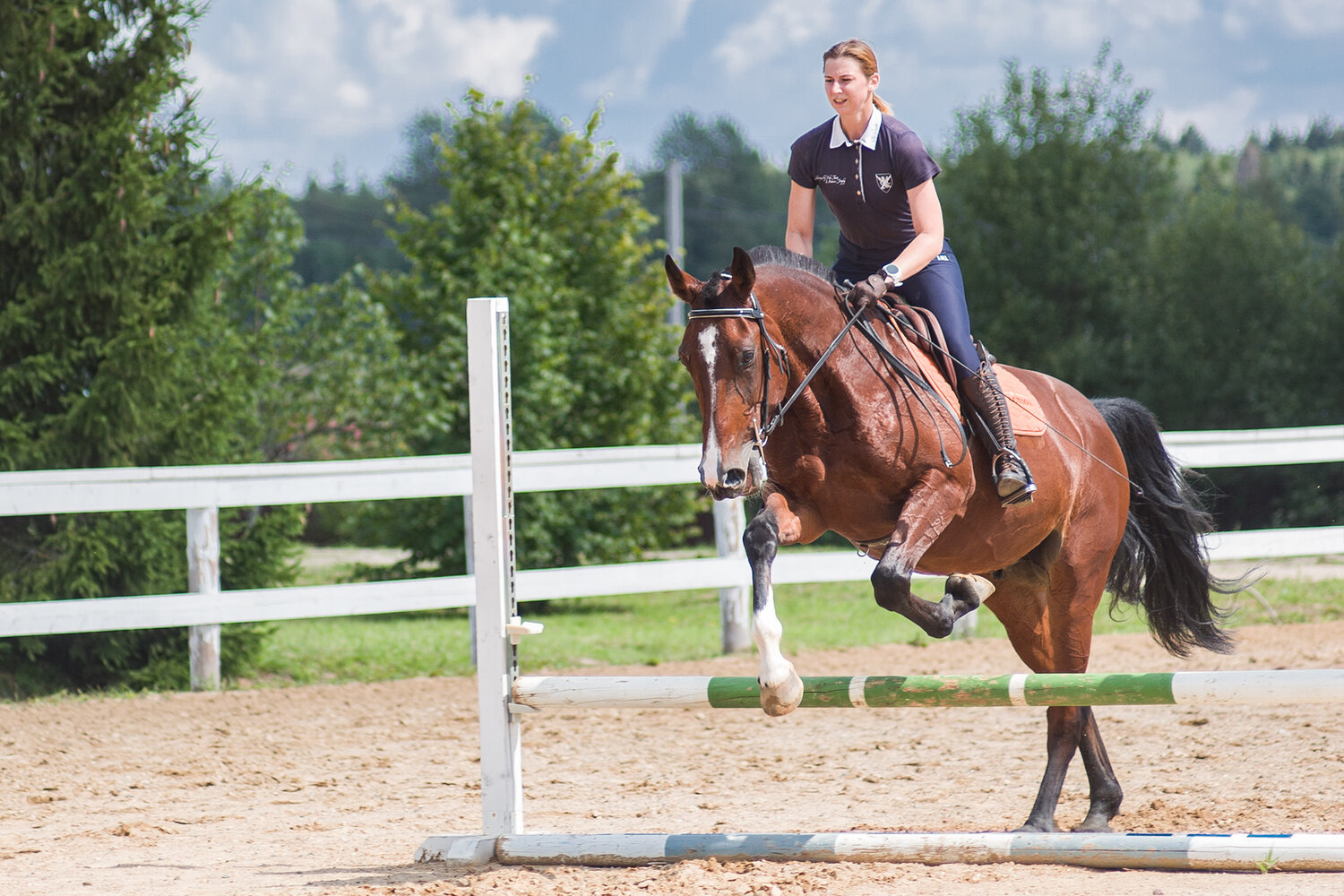 Photo #13756287