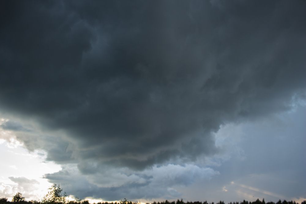 Photograph by Елена Шахова
