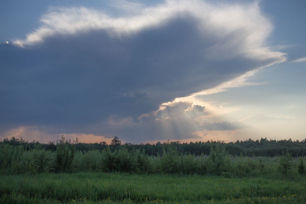 Photograph by Елена Шахова
