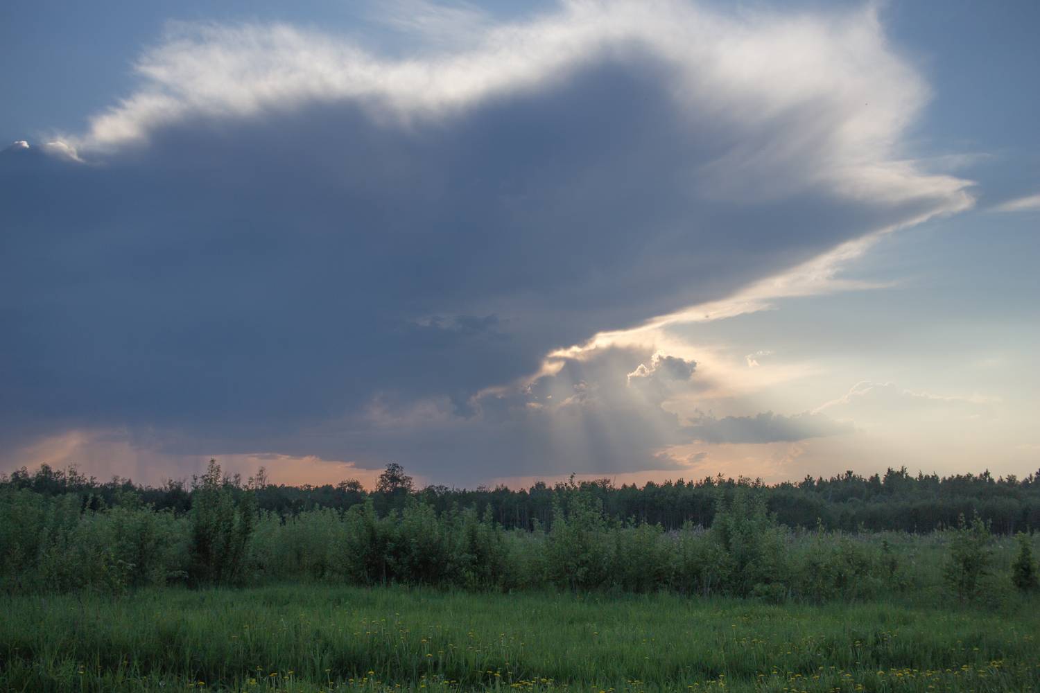 Photo #13756333