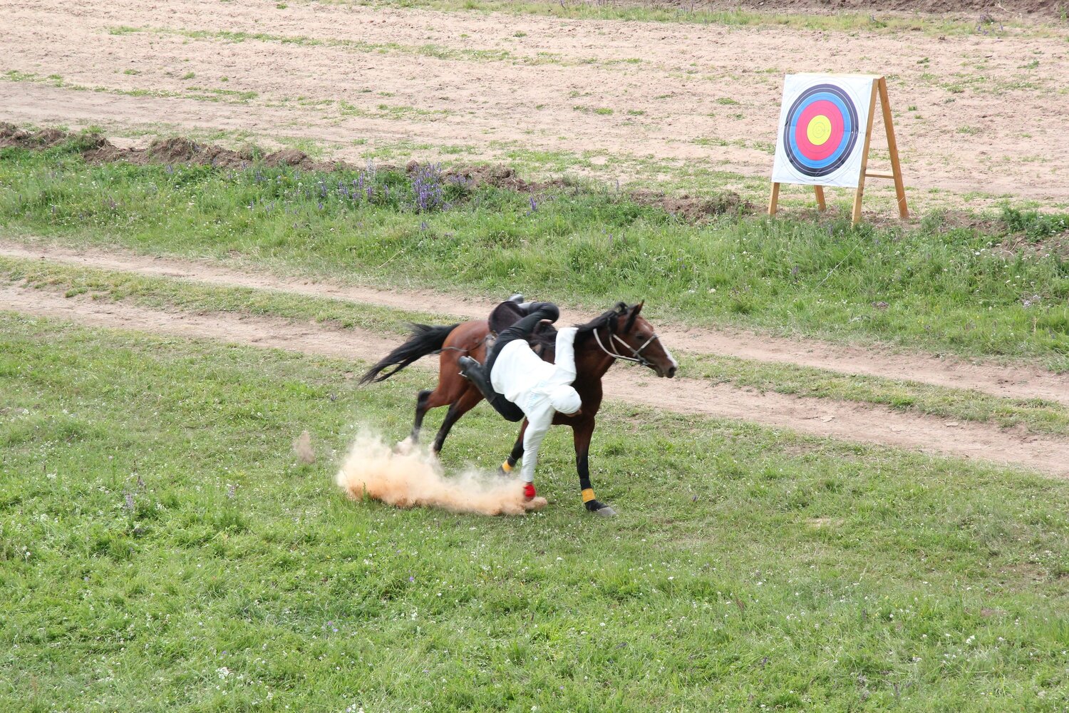 National game of Kazakhs - Tenge alu. 2026