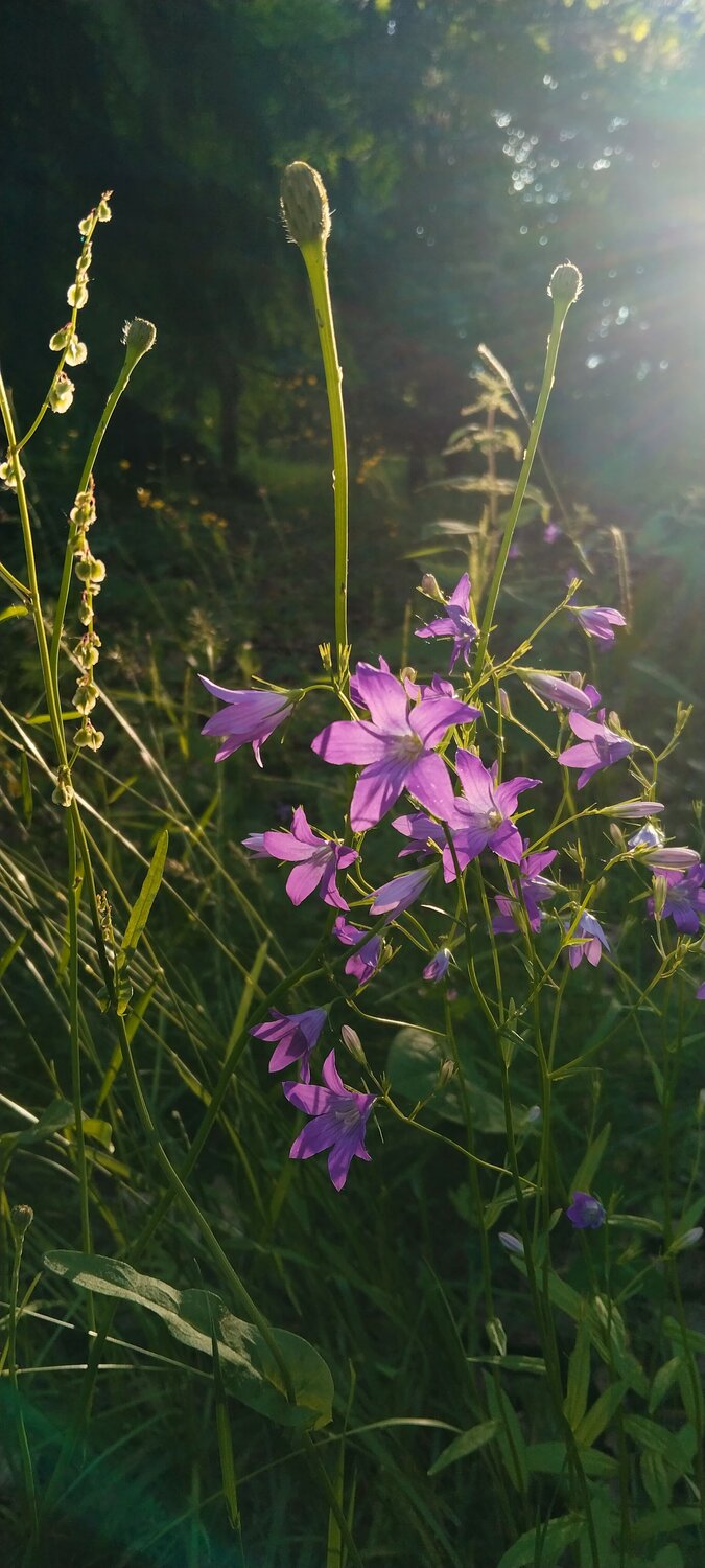 Photo #13756459