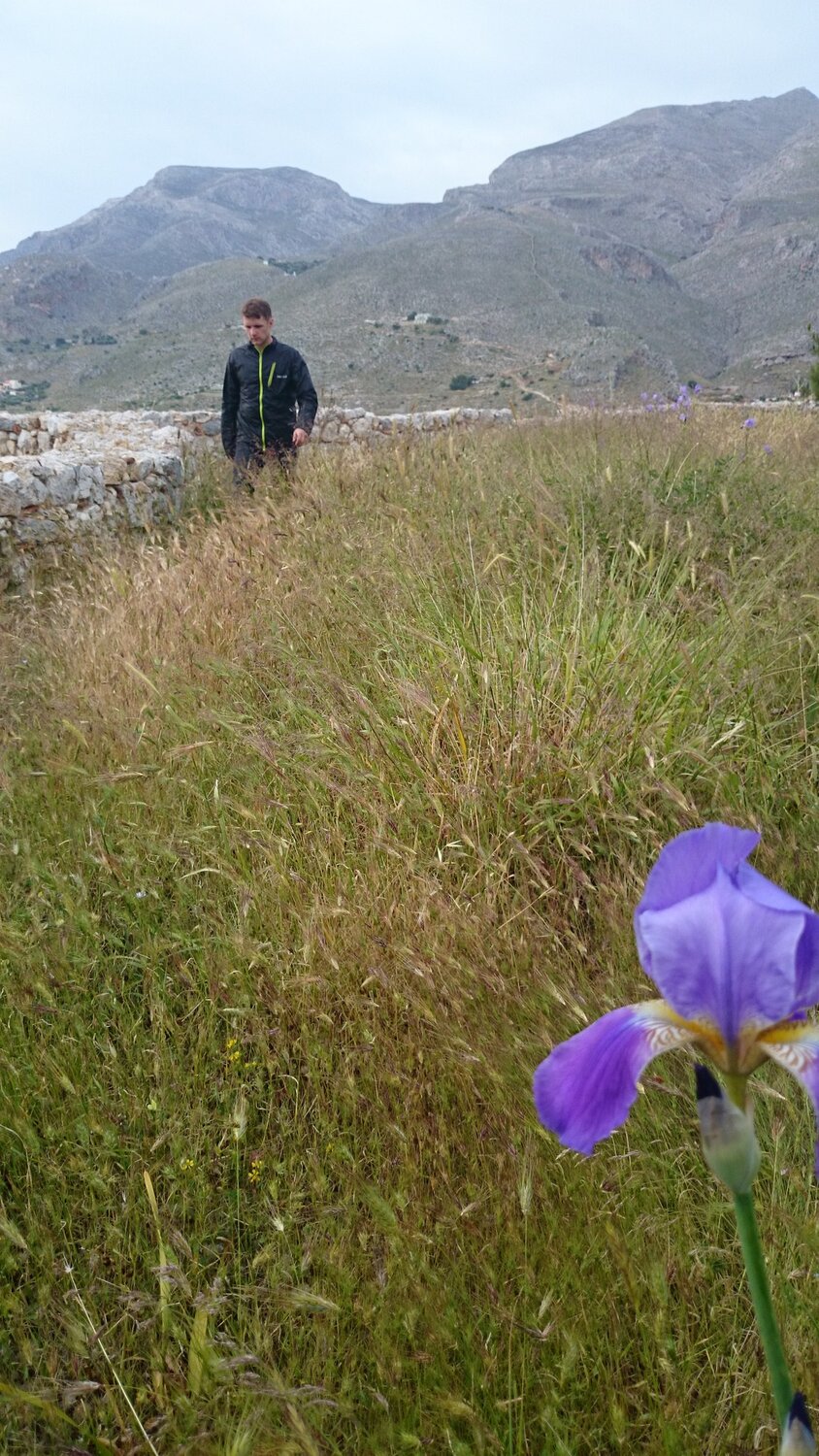 Photo #13756466