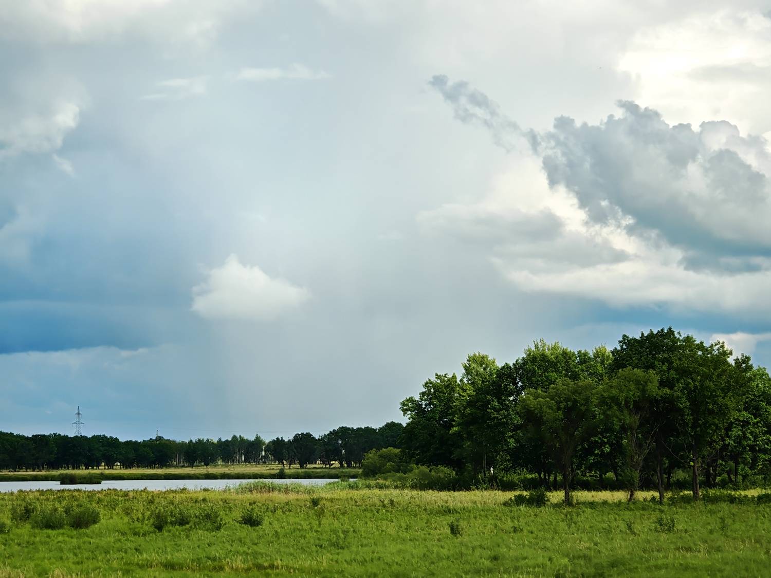 Photo #13756472