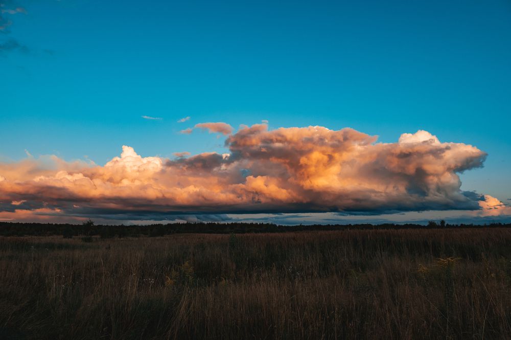 Photograph by Елена Владимировна
