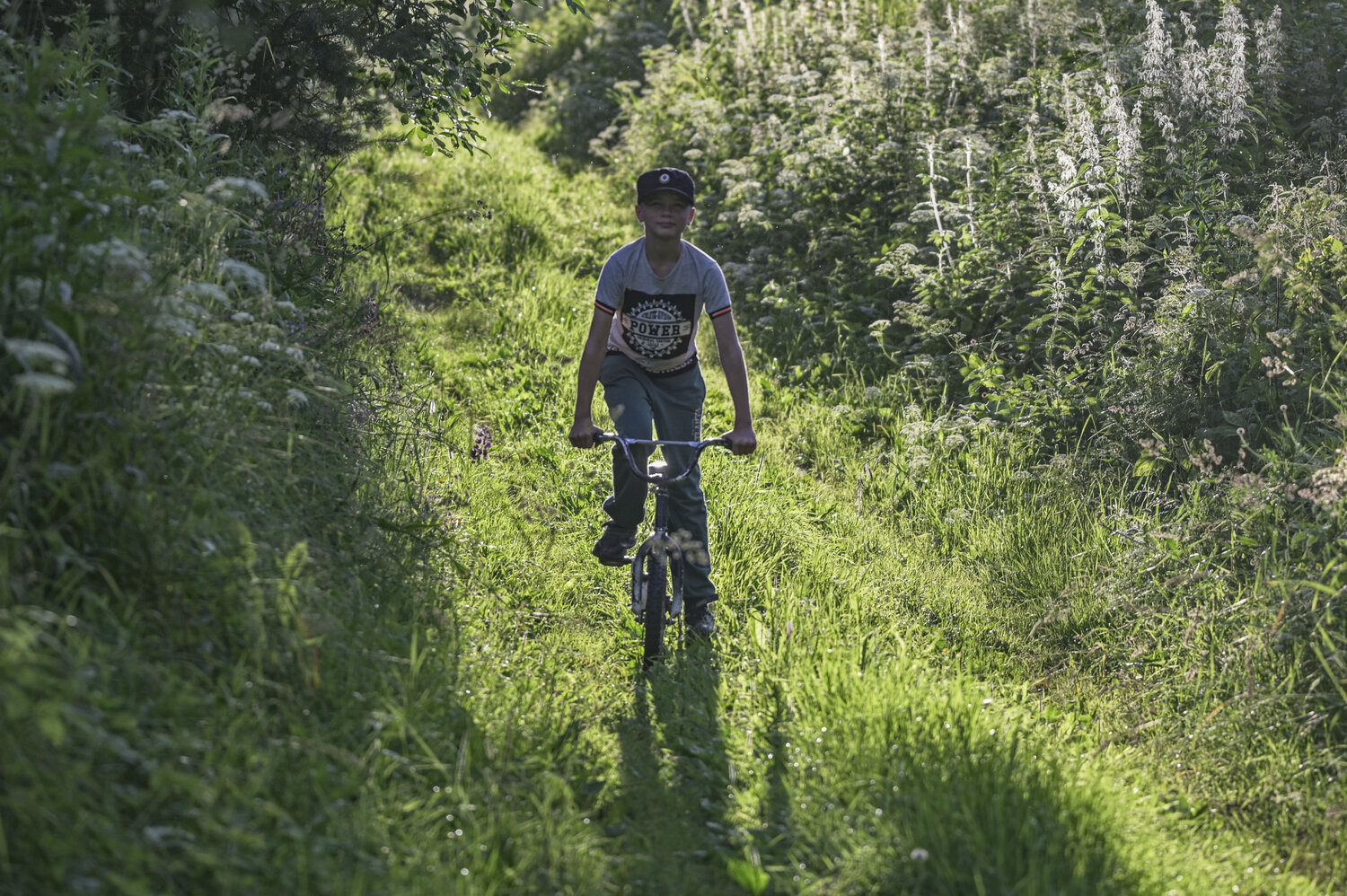 Photo #13756495