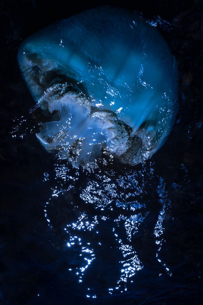 Photograph by Ольга Мусиенко
