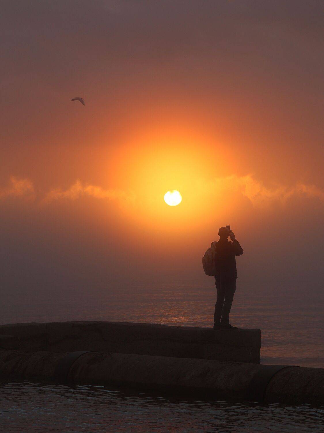 Photo #13756648