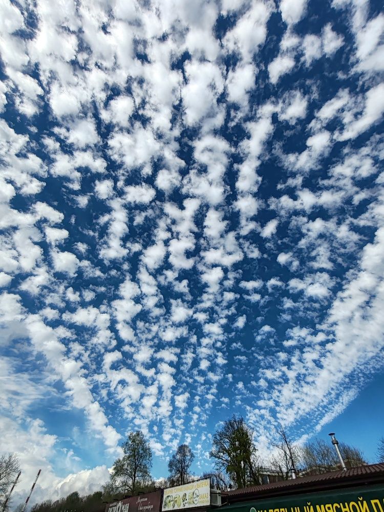 Photograph by Надежда Баранова