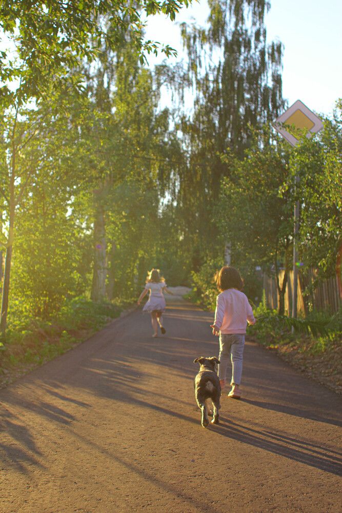 Photograph by Алина Никитина