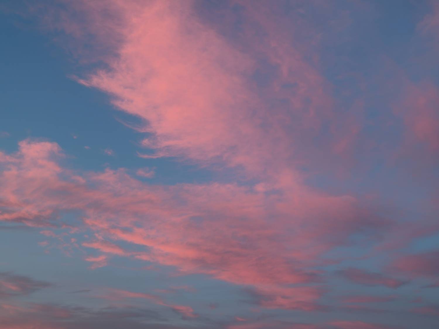 Photo #13756669