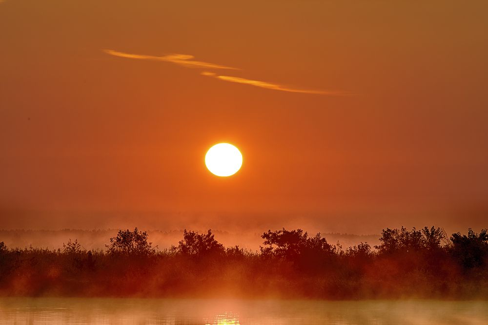 Photograph by Владимир Борисов