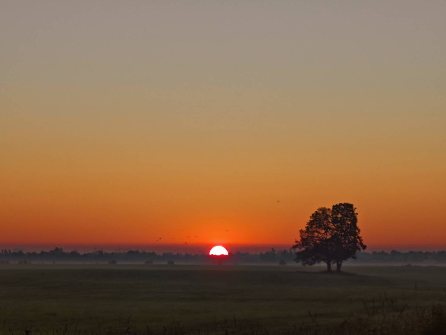 Photo #13756780